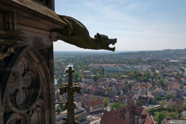 Гаргульи Gargoyles 17 Гаргульи в фотографиях