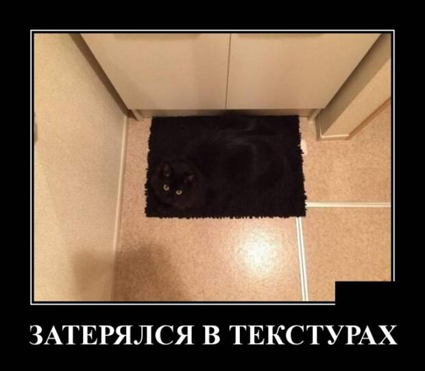 Демотиваторы
