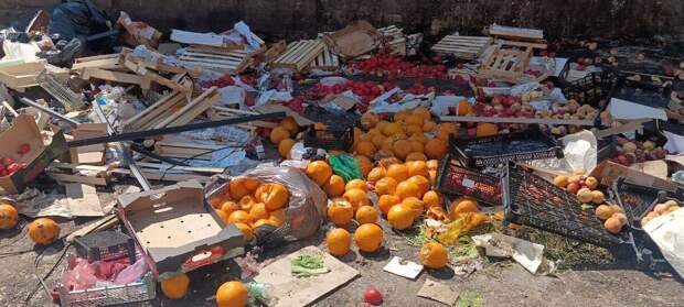 Фото: t.me/mnogonazi