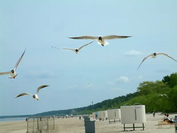 Эксперт назвал способ сэкономить на отдыхе в мае: Ранней брони недостаточно