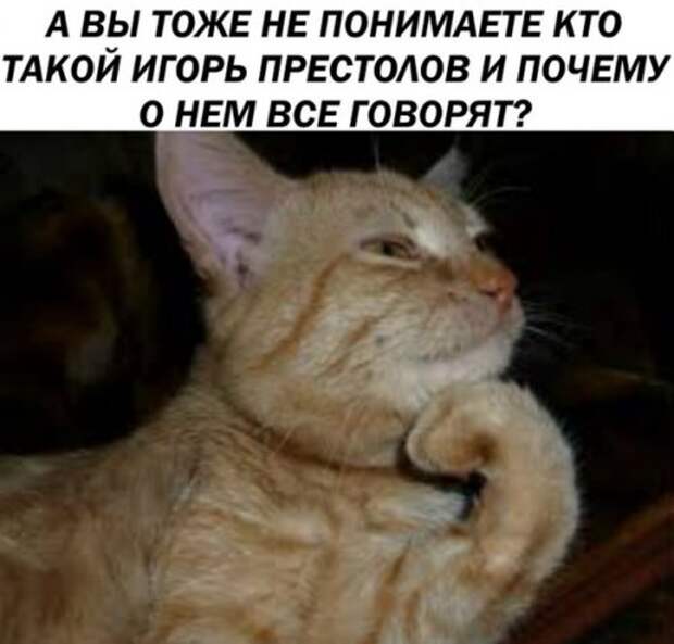 Новые фотомемы на Бугаге (23 шт)