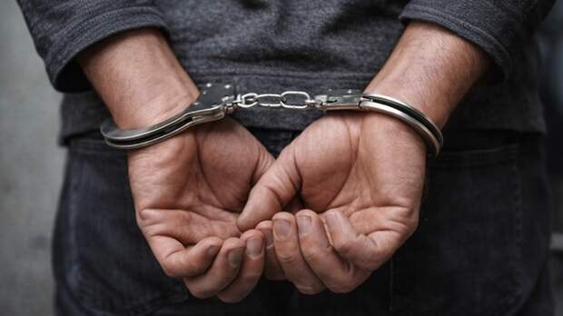 Суд арестовал жителя Алтайского края за убийство отца и и смертельный наезд на женщину