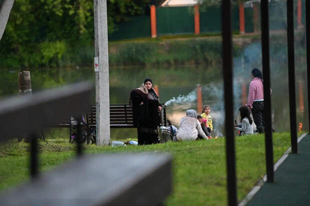 Медведев поручил ликвидировать этнические анклавы в России