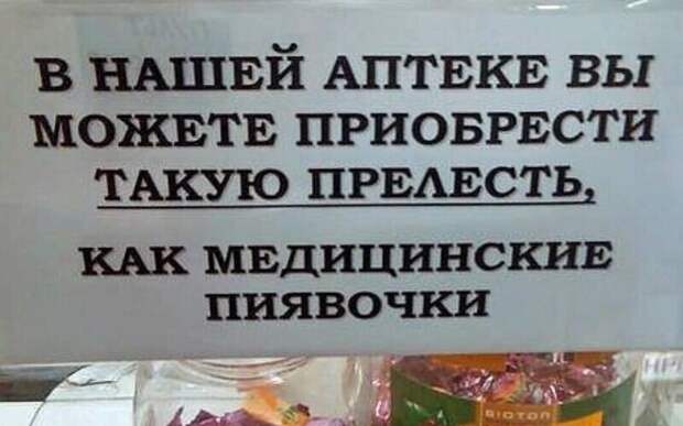 Какие милые Какие милые