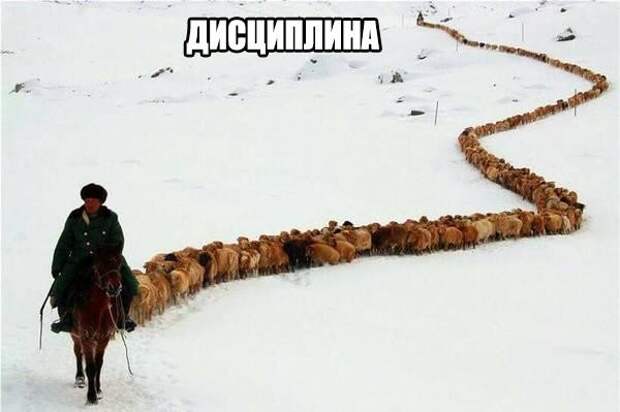 Смешные картинки с надписями прикол, юмор