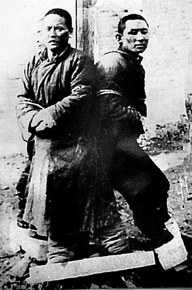 "Бревна" не люди, они даже ниже скотов...