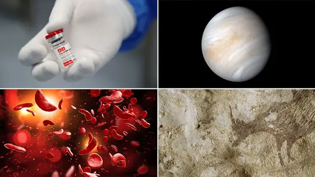 Борьба с COVID-19, генная инженерия и искусственный интеллект: главные научные исследования 2020 года