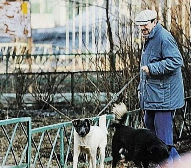 Георгий Вицин: скромная жизнь гениального актера