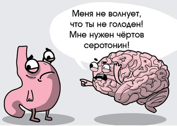 Разрушаем стереотипы: через сколько после, до и во время еды можно пить воду?