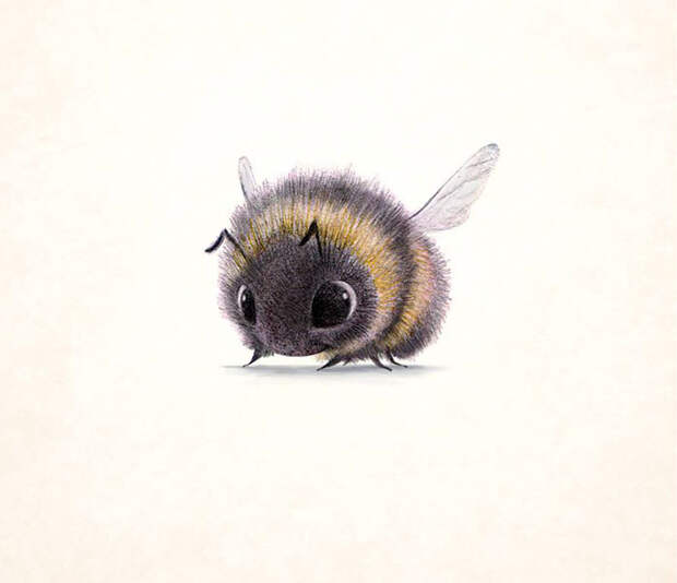 Cute Animal Illustration