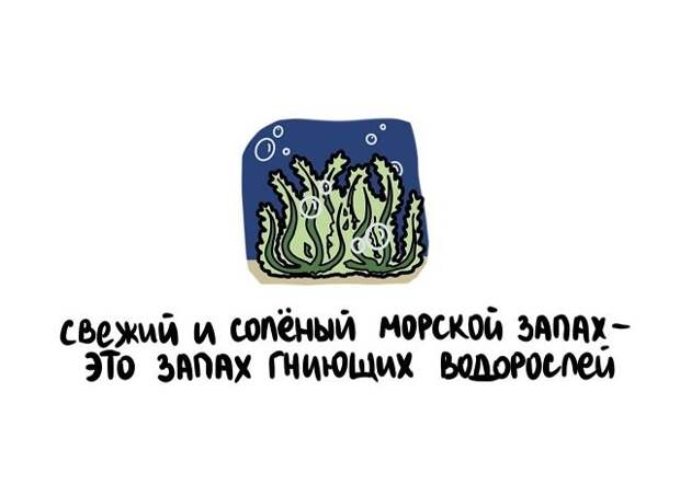 Подборка коротких интересных фактов на все случаи жизни