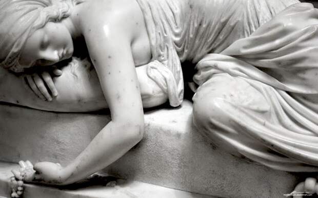 Фотография: Под мраморной кожей бьется живое сердце №13 - BigPicture.ru