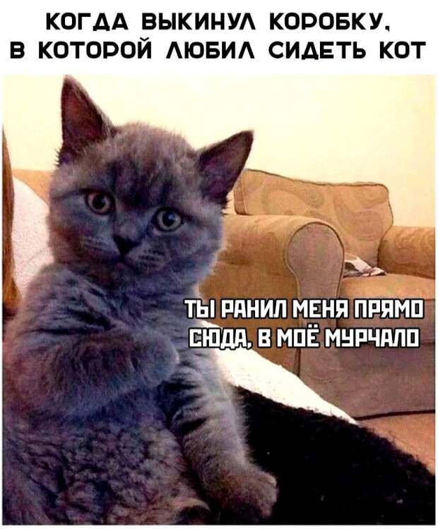 Подборка картинок (20 фото)