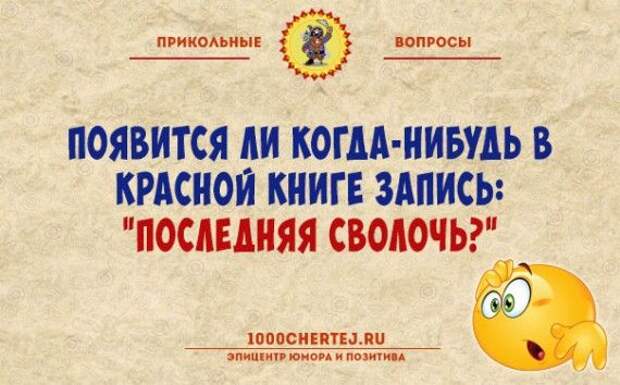 1575660208_original.jpg