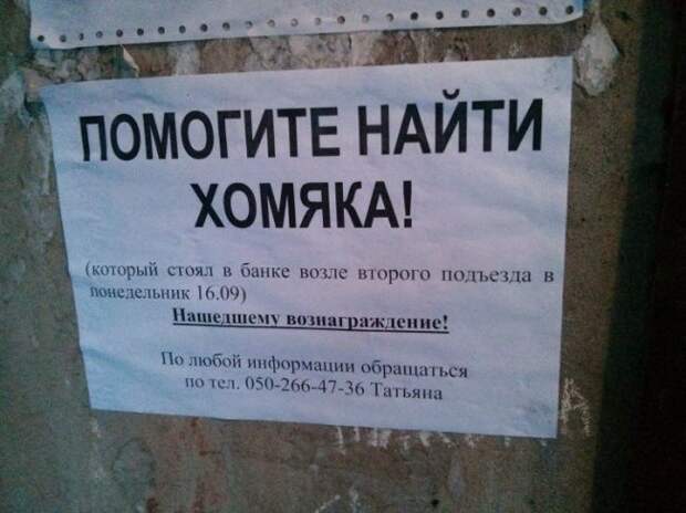 Забавные надписи в подъездах. Злые и добрые