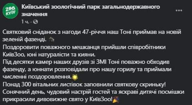 горилле Тони на 47-летие устроили пиршество с цветами