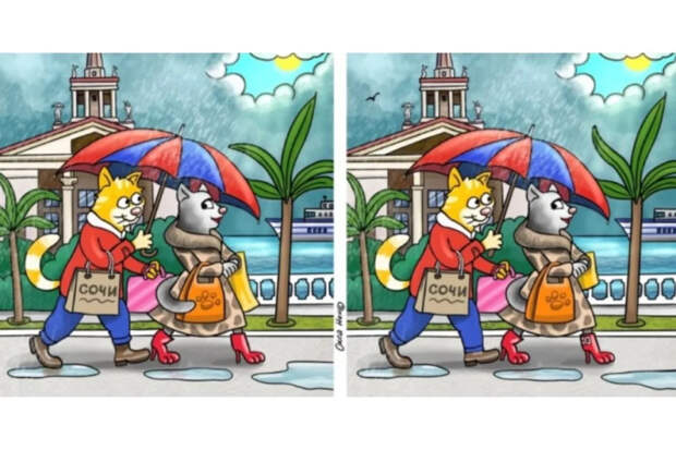 Коты-туристы в Сочи: найдите 11 отличий за 37 секунд