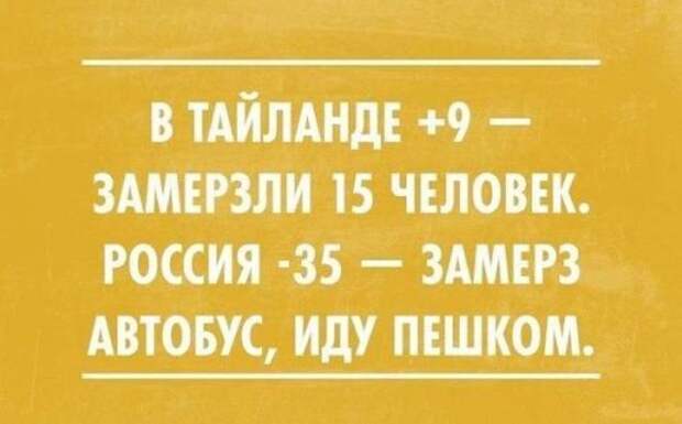 Новая коллекция автоприколов (21 фото)