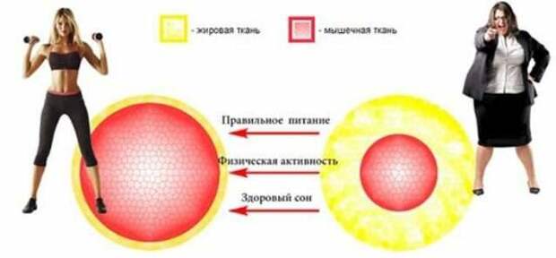 Простые способы похудения без спортзала