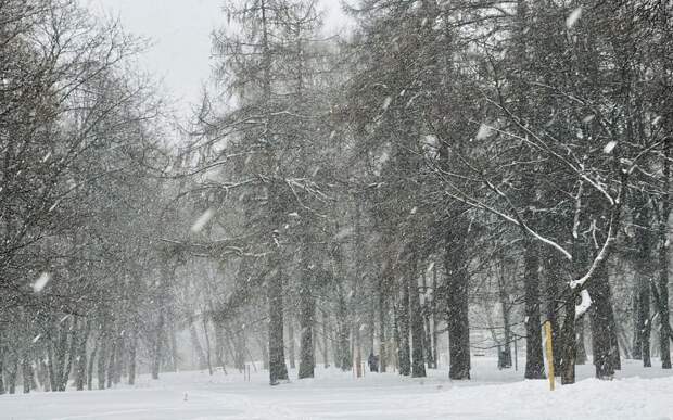 МЧС предупреждает рязанцев о мокром липнущем снеге