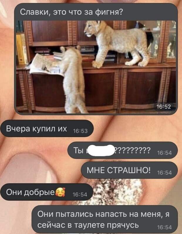 1. Зато семейная жизнь не скучная 1. Зато семейная жизнь не скучная