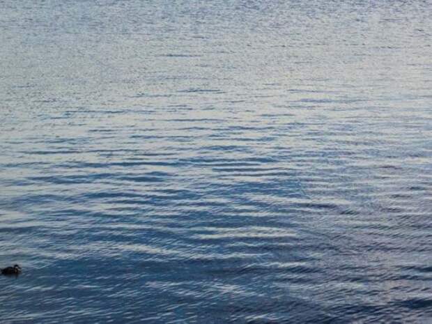 Глава Кузбасса: в Тайге появится новое оборудование для улучшения качества воды