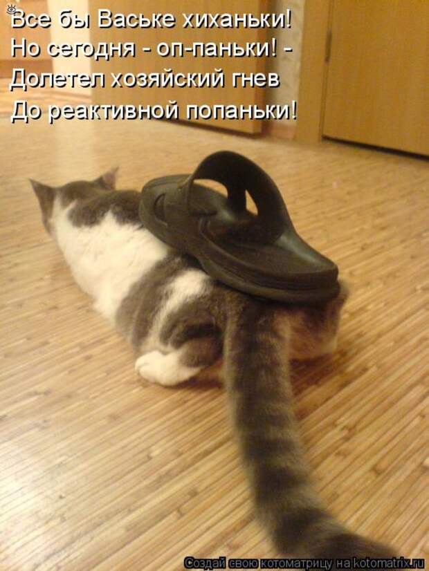 Приколы в котоматрице 31