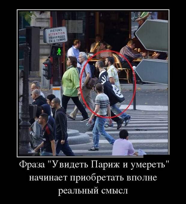Демотиваторы (30 фото)