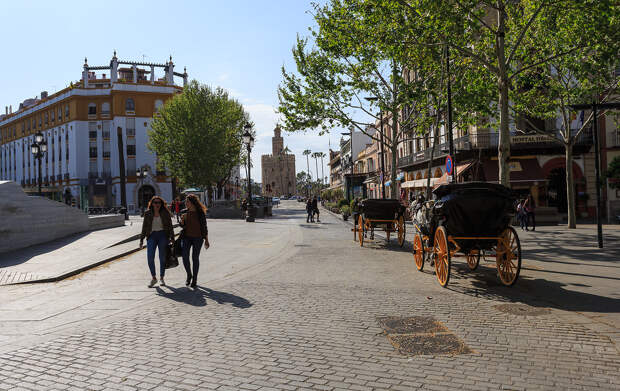 0804150391.jpg