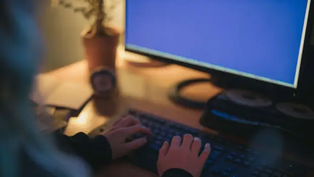 52,6% россиян выбирают программирование для обучения по госпрограмме "Цифровые профессии"