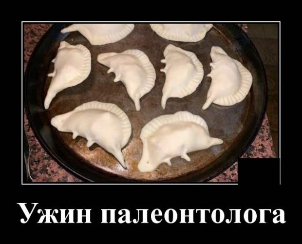 Демотиваторы (20 фото)