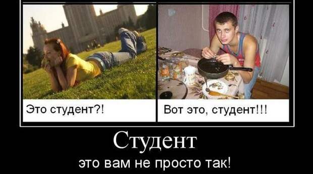 33 очень смешные картинки про студентов