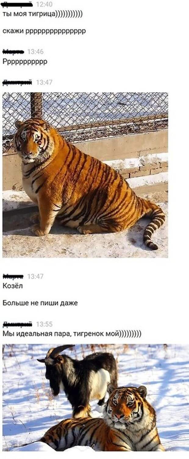 Смешные комментарии из социальных сетей Смешные комментарии из социальных сетей