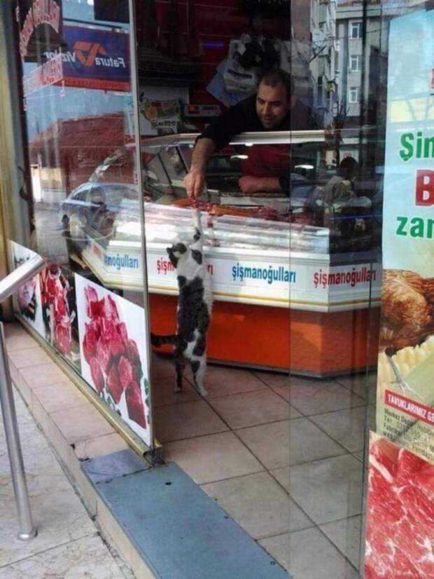 любимый покупатель