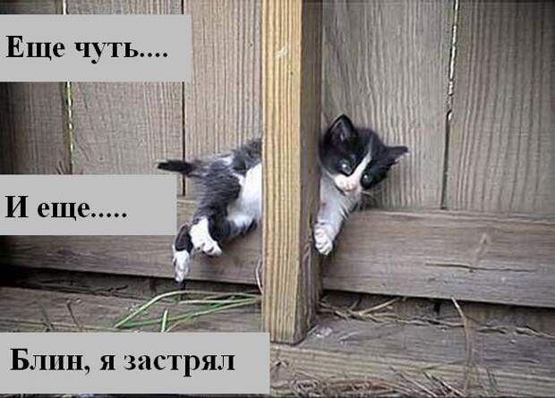 Мысли2 :) (50мыслей)