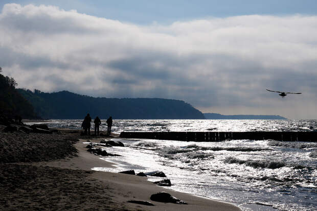 "Ъ": экспорт через порты на Балтике оказался под угрозой из-за льдов и осмотров