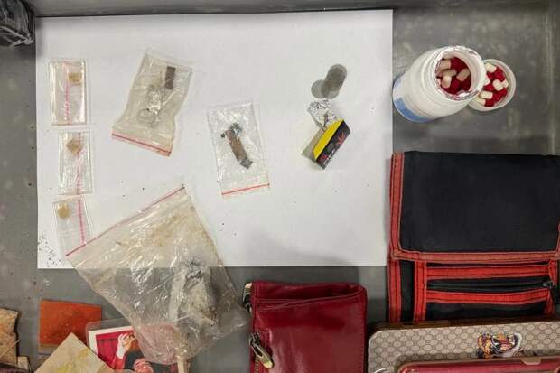 Забитые галлюциногенами рюкзаки из Индии найдены в российском аэропорту