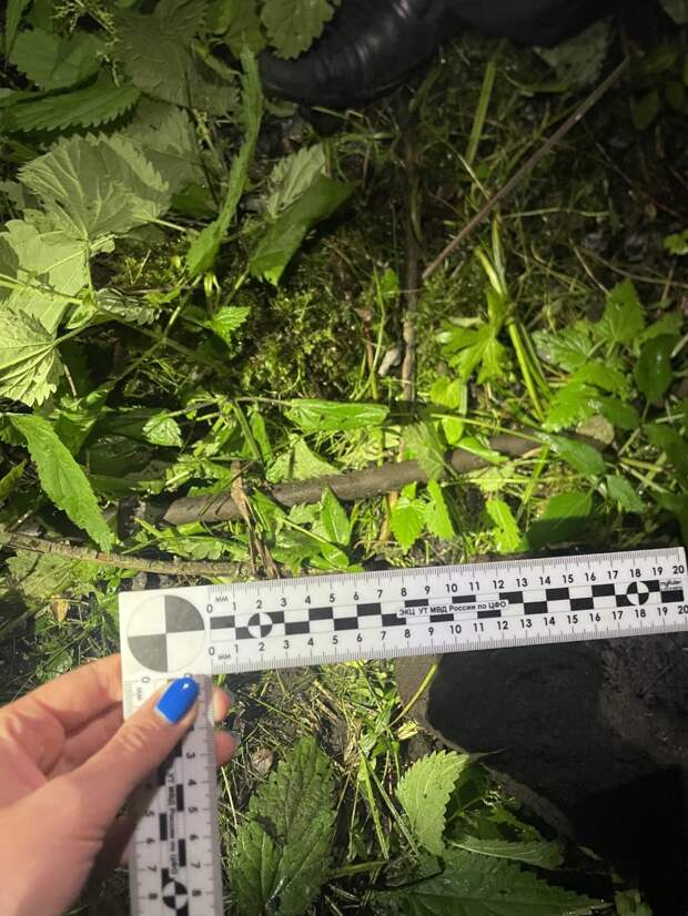 В Тверской области пред судом предстанет мужчина, который похитил медный кабель связи