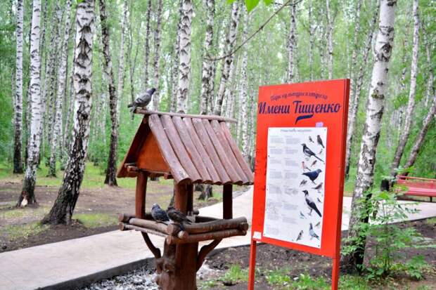 Познавательная прогулка: в Челябинске появилась первая библиотека в парке