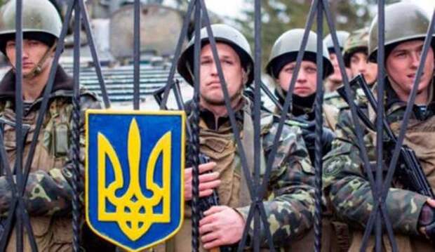 Гребут всех: масштабные рейды ТЦК в Ужгороде и Луцке (ВИДЕО) | Русская весна