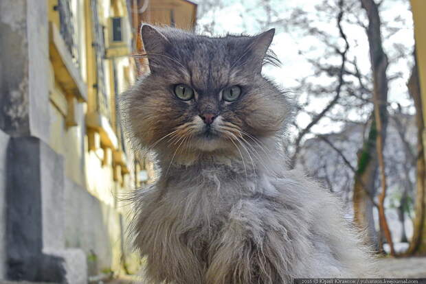 Самый ЖЖ-шный праздник в мире!
