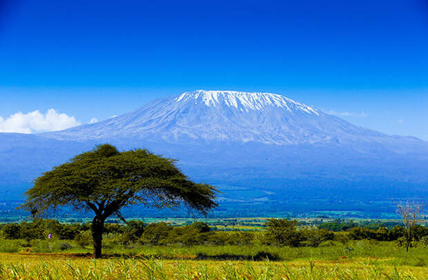 Снежная шапка Килиманджаро