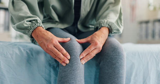 Раскрыто природное средство защиты от остеопороза