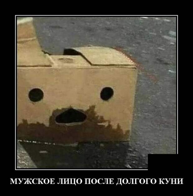 Демотиваторы (20 фото)