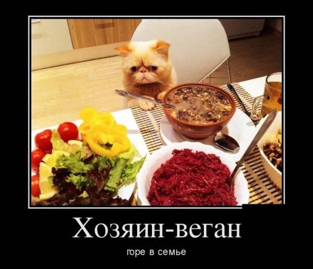 Демотиваторы (30 фото)