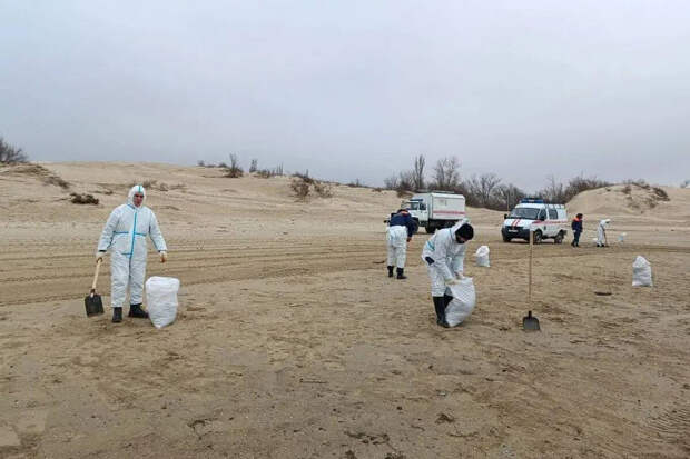 Вице-премьер Савельев: очищенные от мазута черноморские пляжи откроются 1 июня