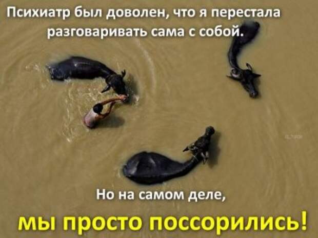 Афоризмы и прикольные анекдоты в картинках.