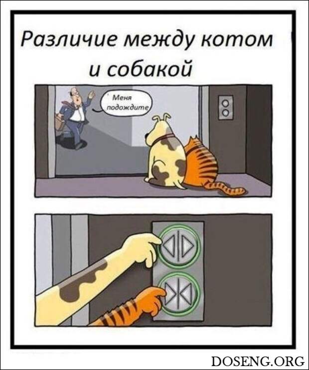 Комиксы и карикатуры