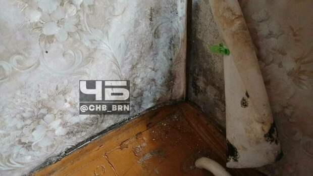 Жительница Барнаула попросила помощи из-за "плачевного" состояния дома