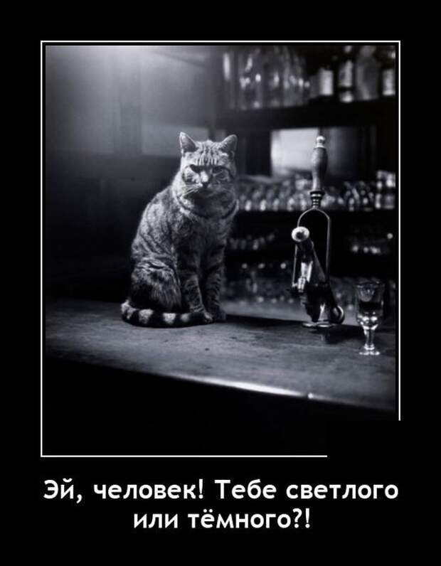 Демотиваторы 11 мая 2021